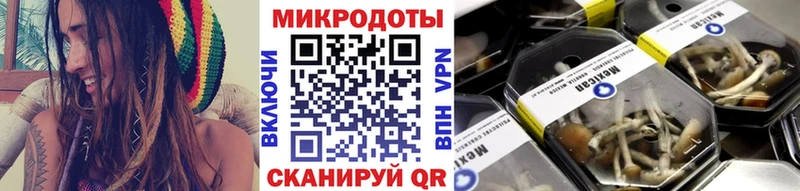 Псилоцибиновые грибы Magic Shrooms  Судак 